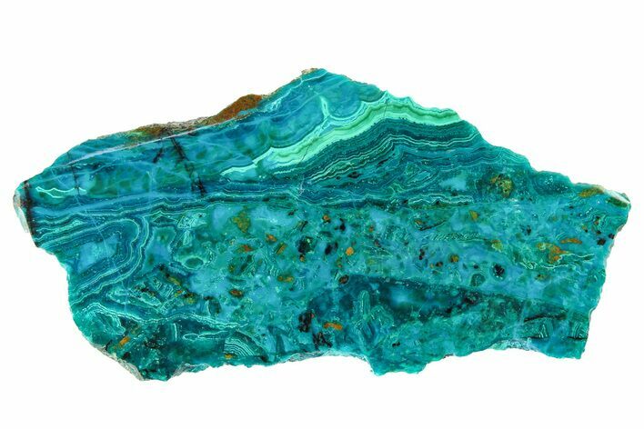 Polished Banded Chrysocolla and Malachite - Bagdad Mine, Arizona #298441